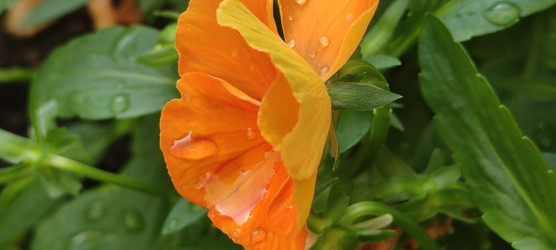 Similar image 22464919