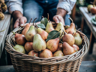 Similar image 22410151