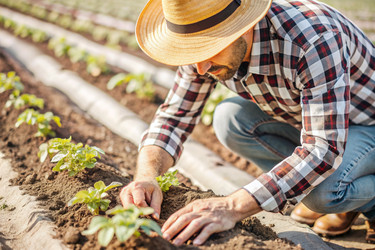 Similar image 22395777