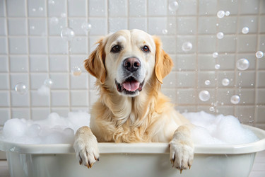 Similar image 22396843