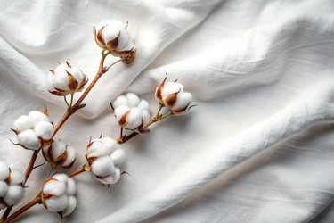 Similar image 22396683