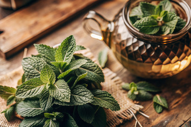 Similar image 22417119