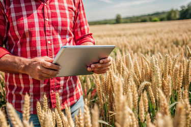 Similar image 22396687