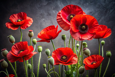 Similar image 22395883