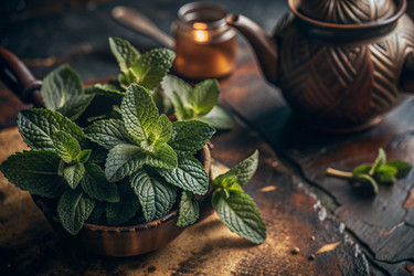 Similar image 22398084