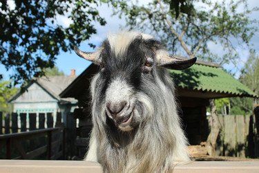 Similar image 22399844