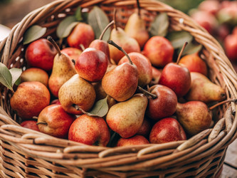 Similar image 22398777