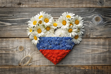 Similar image 22398672