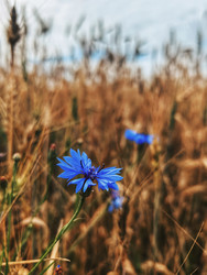 Similar image 22403438