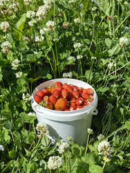 Similar image 22403440