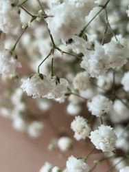 Similar image 22399681