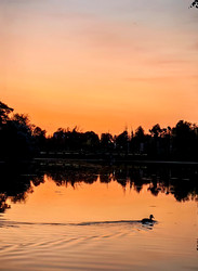 Similar image 22416383