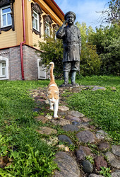 Similar image 22416386