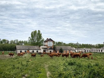 Similar image 22416388