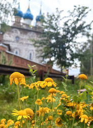 Similar image 22403446