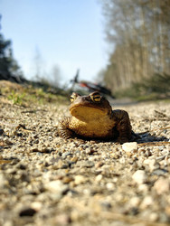 Similar image 22399683