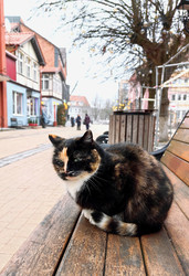 Similar image 22416571