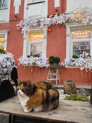 Similar image 22416573