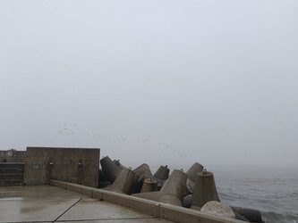 Similar image 22416597