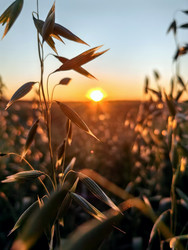 Similar image 22403448