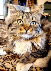 Similar image 22399696