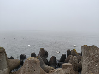 Similar image 22399700