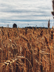 Similar image 22399702