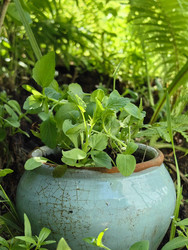 Similar image 22399704