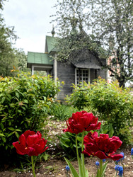 Similar image 22399708