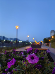 Similar image 22399710