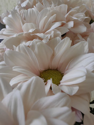 Similar image 22399716