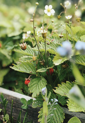 Similar image 22399717