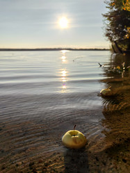 Similar image 22399685