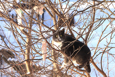 Similar image 22403765