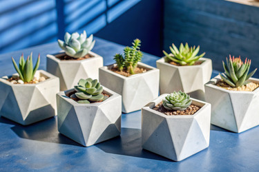 Similar image 22413770