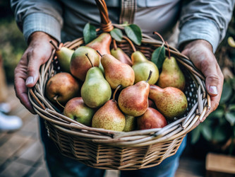 Similar image 22409099