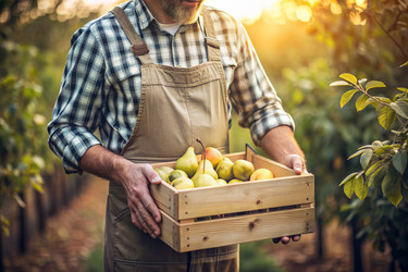 Similar image 22409143