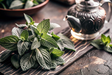 Similar image 22413771