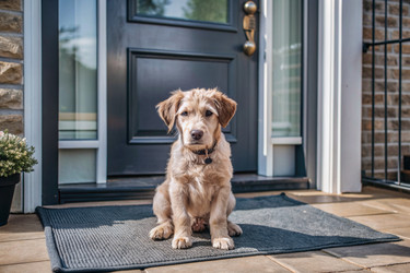 Similar image 22408545