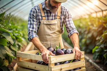 Similar image 22413217