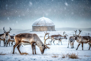 Similar image 22413380