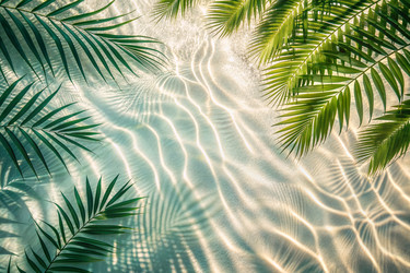 Similar image 22416050