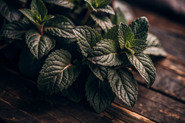 Similar image 22411617