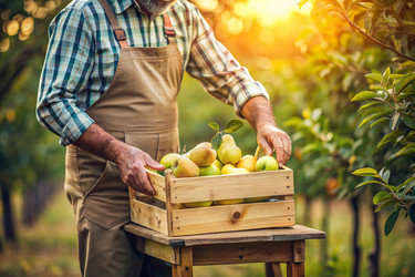 Similar image 22411797