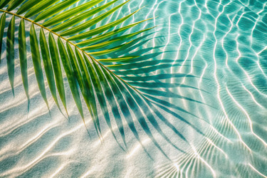 Similar image 22414553