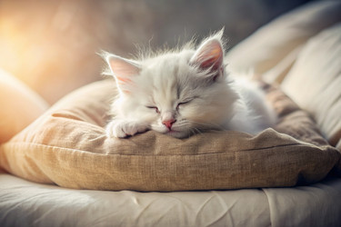 Similar image 22416904