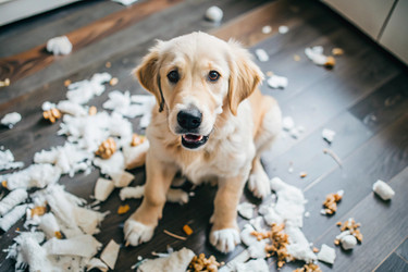 Similar image 22414220