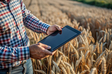 Similar image 22418087