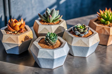 Similar image 22408415