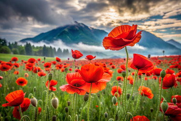 Similar image 22408818